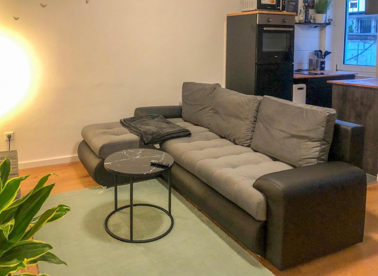 Gruene Oase Mit Balkon I Eg Διαμέρισμα Ντούισμπουργκ Εξωτερικό φωτογραφία